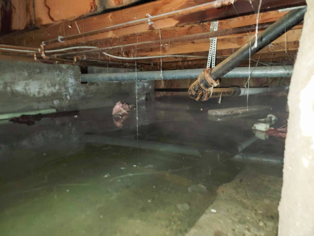 Best Sewage cleanup and water damage restoration  in Bellmawr, NJ