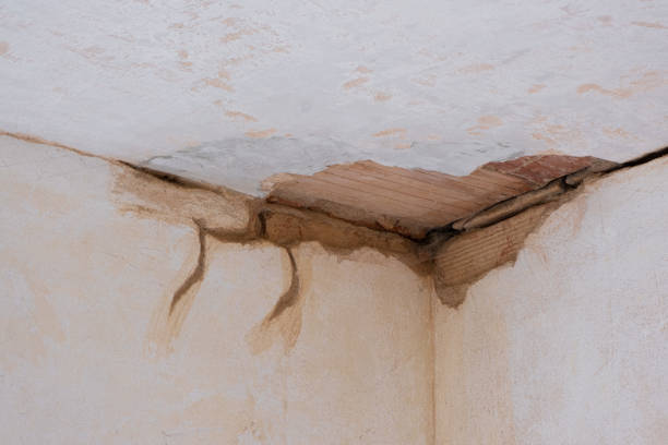 Best Mold removal after water damage  in Bellmawr, NJ