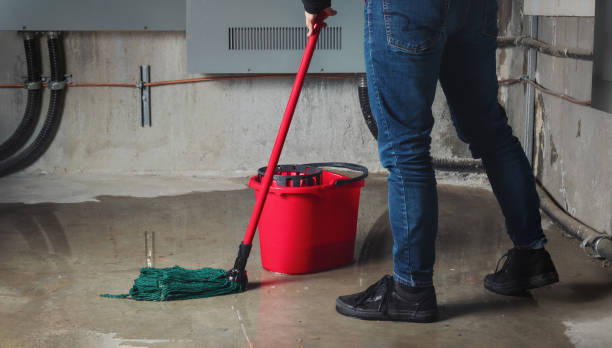 Bellmawr, NJ Water damage restoration Company