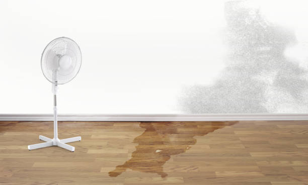 Bellmawr, NJ Water damage restoration Company