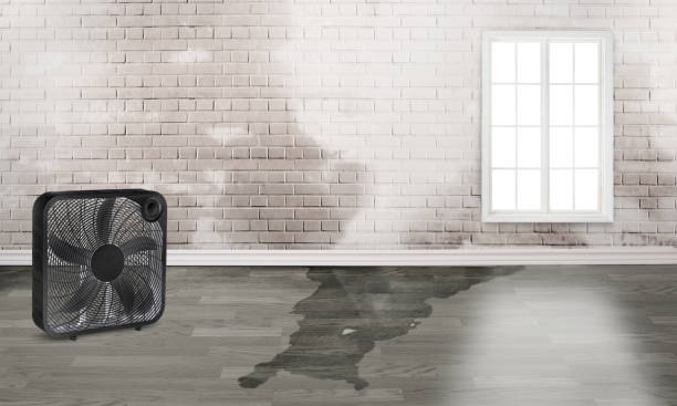 Carpet water damage restoration in Bellmawr, NJ