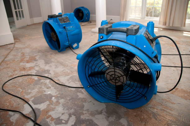 Carpet water damage restoration in Bellmawr, NJ