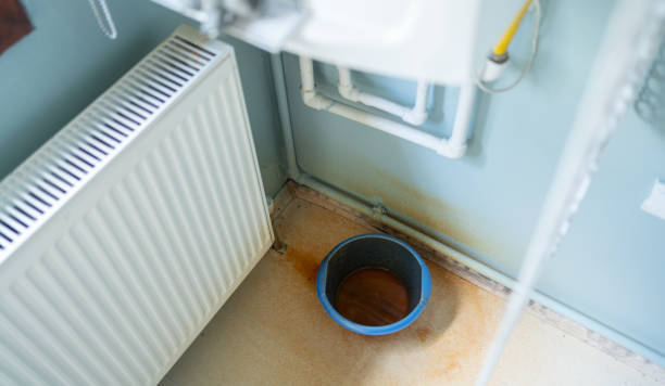 Best Flood restoration services  in Bellmawr, NJ