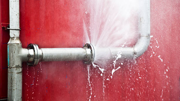 Best Local water damage restoration  in Bellmawr, NJ